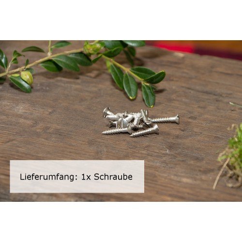 1x Schlitzschraube mit Linsenkopf (DIN 95) Messing Vernickelt Holzschraube (4,0 x 20)