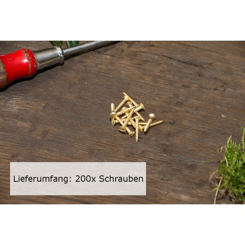 200x Linsenkopfschraube mit Schlitz (DIN 95) Messing blank Holzschraube (3,0x20)