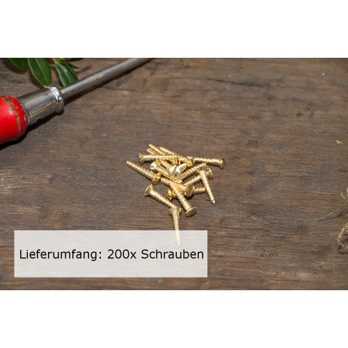 200x Linsenkopfschraube mit Schlitz (DIN 95) Messing blank Holzschraube (3,5x20)