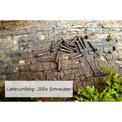 200x Schlitzschraube f. antik Türbeschläge, Linsenkopf, DIN95 Holzschraube, Messing brüniert (3,0 x 16)
