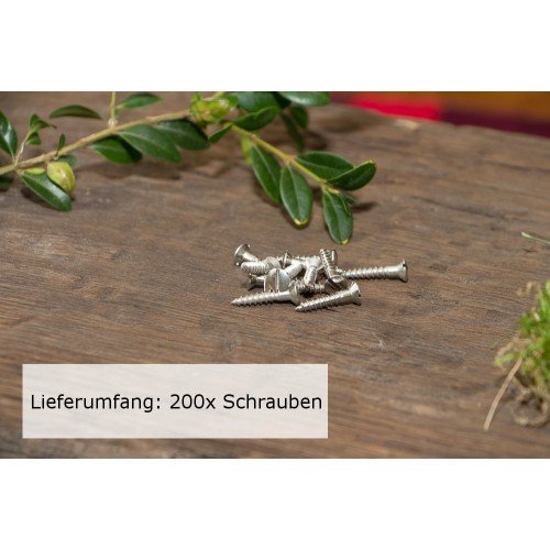 200x Schlitzschraube mit Linsenkopf (DIN 95) Messing Vernickelt Holzschraube (4,0 x 20)