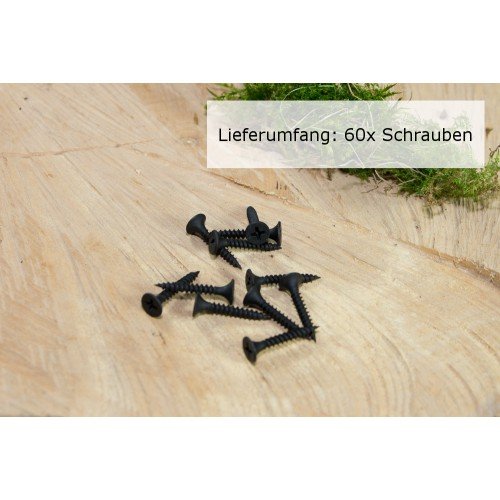 60x Kreuz Schraube Senkkopf für Holz in schwarz (3,5 x 25)
