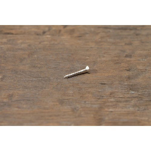 1x Schlitzschraube mit Linsenkopf (DIN 95) Messing Vernickelt Holzschraube (3,5 x 20)