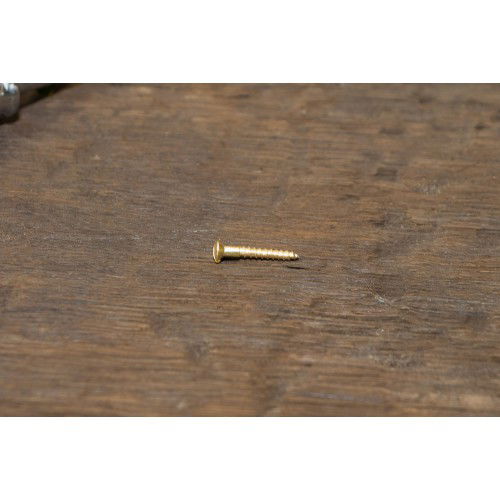1x Linsenkopfschraube mit Schlitz (DIN 95) Messing blank Holzschraube (3,0x20)