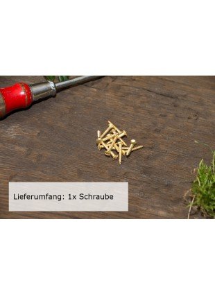 1x Linsenkopfschraube mit Schlitz (DIN 95) Messing blank Holzschraube (3,0x20)