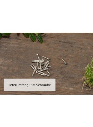 1x Schlitzschraube mit Linsenkopf (DIN 95) Messing Vernickelt Holzschraube (3,0 x 20)