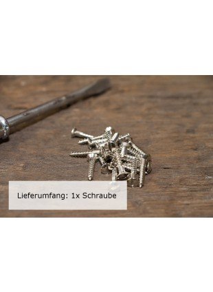 1x Schlitzschraube mit Linsenkopf (DIN 95) Messing Vernickelt Holzschraube (3,5 x 20)