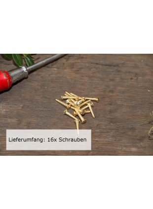 16x Linsenkopfschraube mit Schlitz (DIN 95) Messing blank Holzschraube (3,5x20)