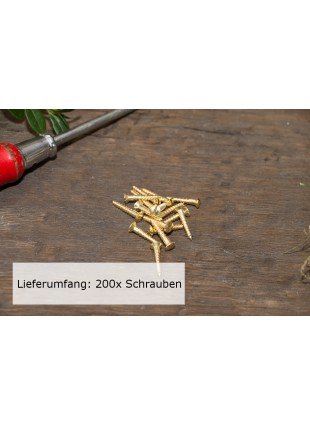 200x Linsenkopfschraube mit Schlitz (DIN 95) Messing blank Holzschraube (3,5x20)