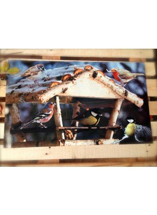 Fußmatte - schmutzfreundliche Matte für Terrasse+Haustür, Türmatte mit Vogelhaus