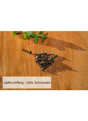 100x Schlitzschraube für Holz mit Linsenkopf, Stahl, patiniert (3,0 x 20)