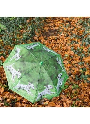 Kinderregenschirm, Schirm für Kinder mit Hundemotiv, Regenschirm mit Welpe