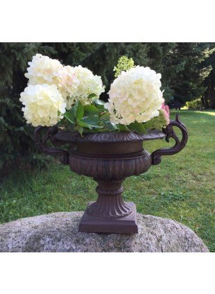 Pflanzschale - Barock Amphoren, Blumentöpfe Terrasse Pflanzgefäße für Blumen