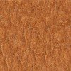 Teak